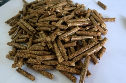 生物質(zhì)顆粒